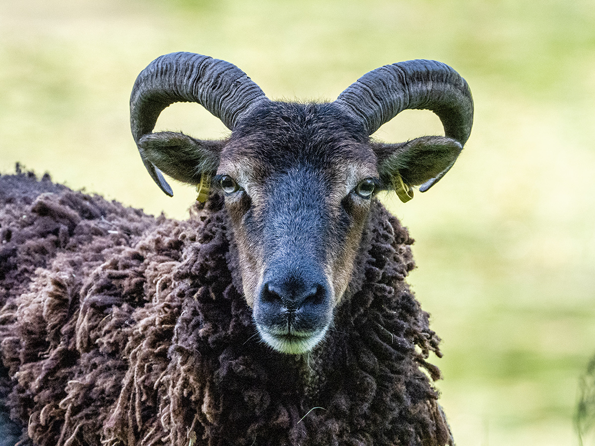 Forstgut Quellental - Naturschutz