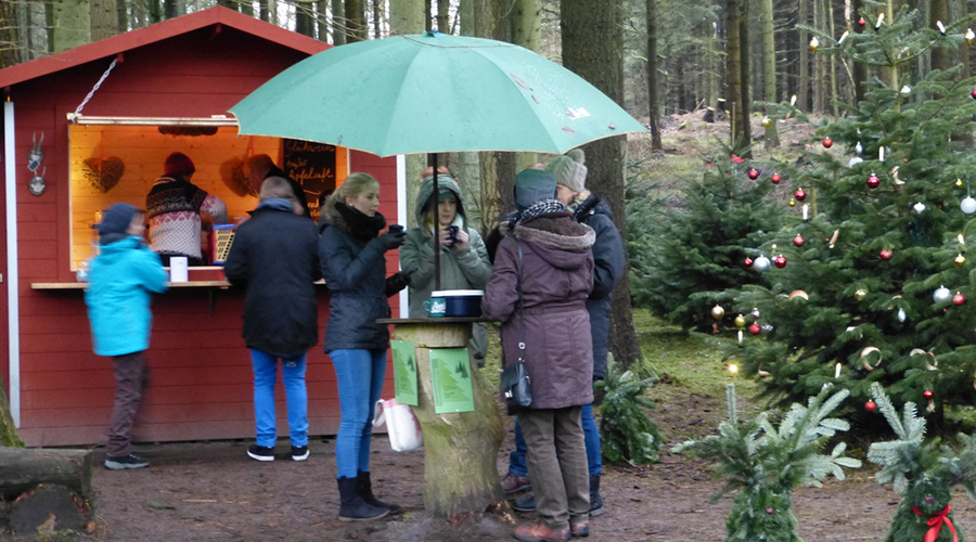 Forstgut Quellental - Weihnachtsbaumverkauf