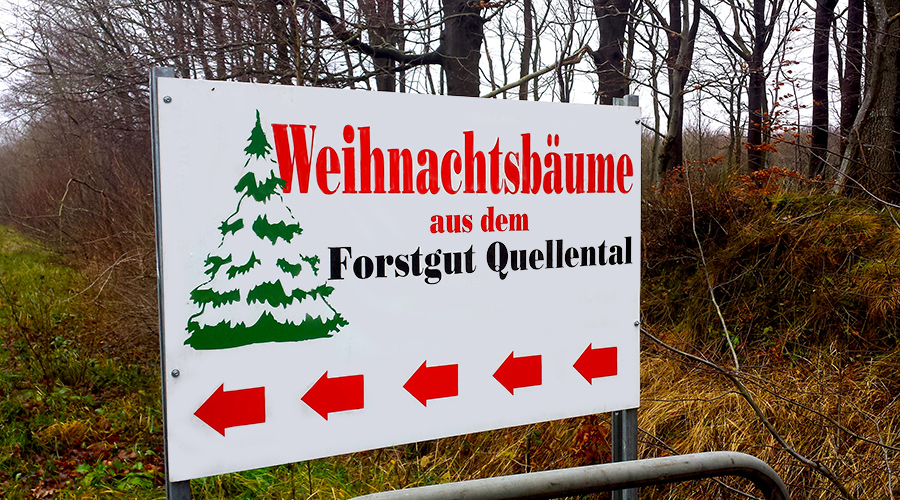 Forstgut Quellental - Weihnachtsbäume